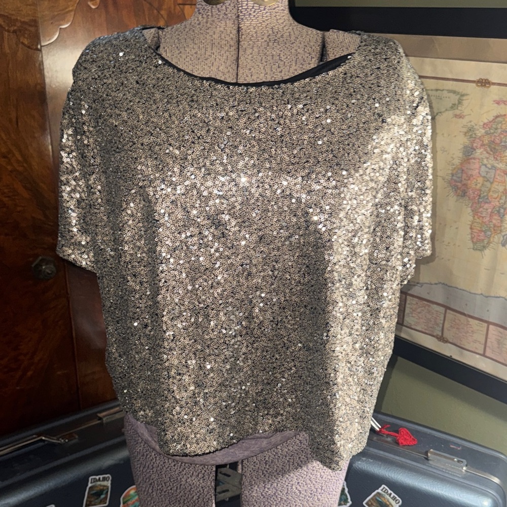 Stunning Lela Rose for Lane Bryant Silver Sequin Top, Size 24